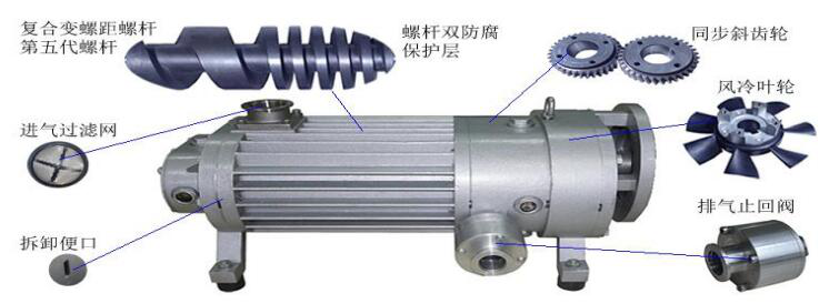 無油螺桿真空泵結(jié)構(gòu)圖